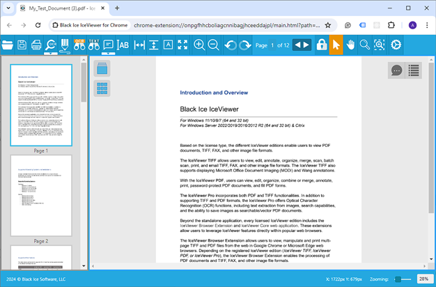 IceViewer Chrome Extension